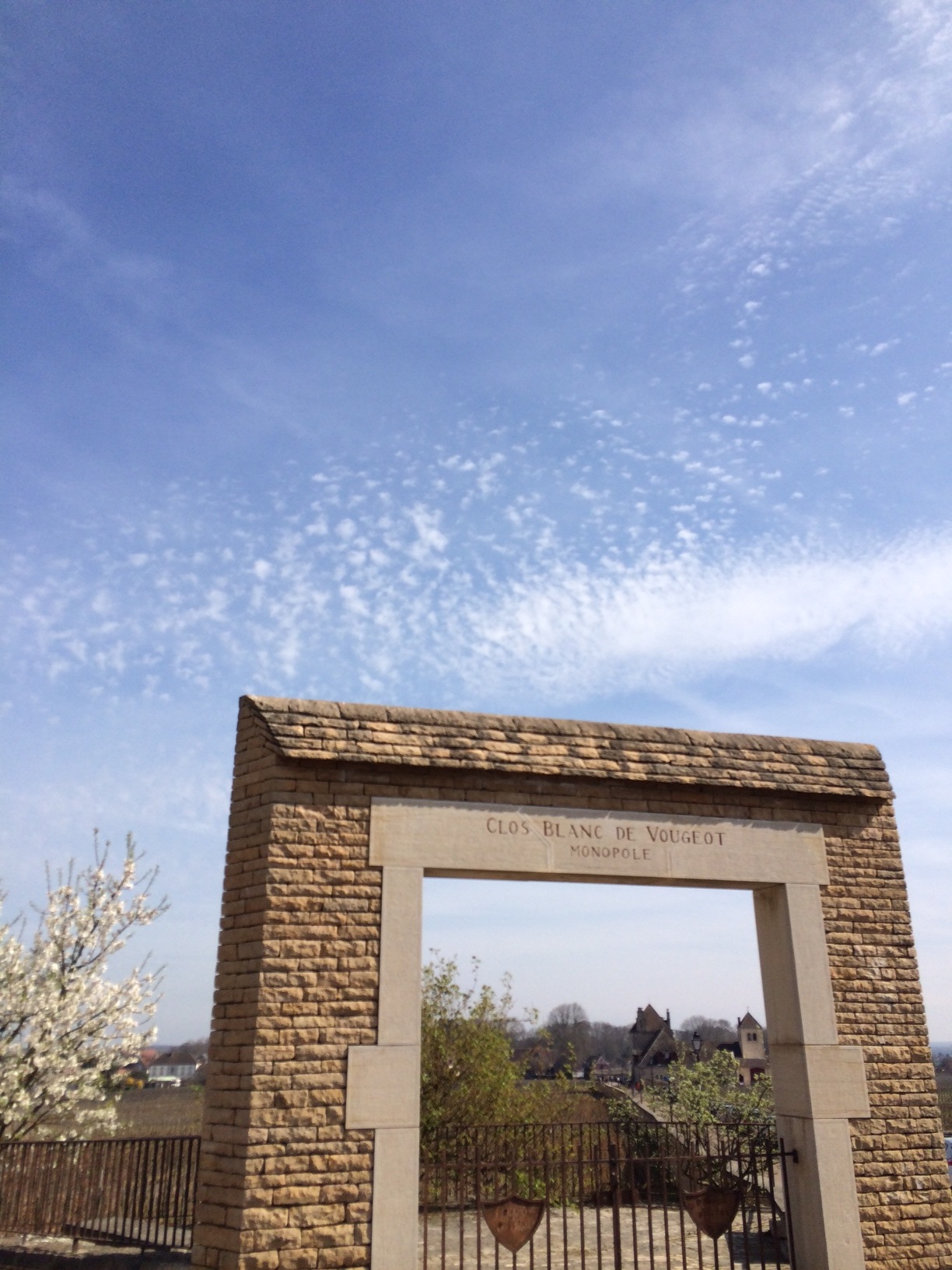 clos blanc de vougeot